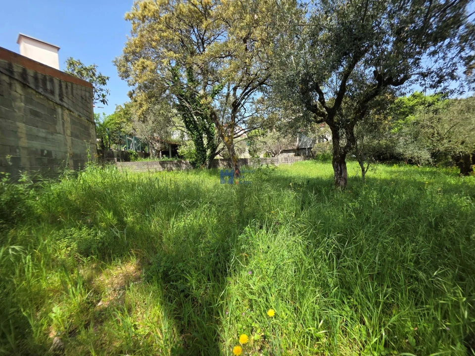 Terreno para Venda em Fatima Foto 10