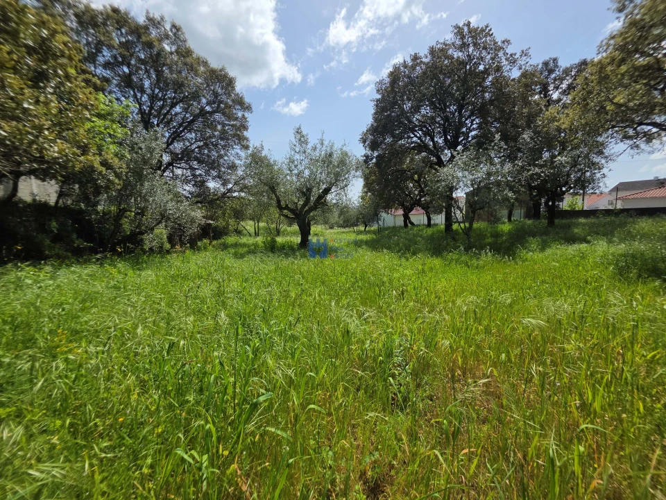 Terreno para Venda em Fatima Foto 6