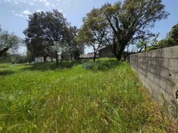 Terreno para Venda em Fatima