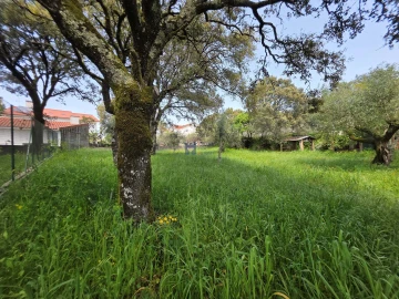 Terreno para Venda em Fatima