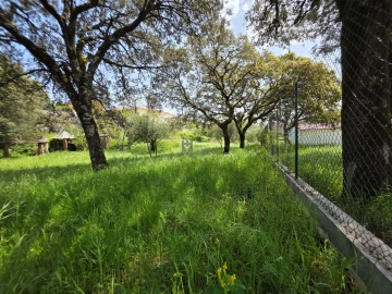 Terreno para Venda em Fatima