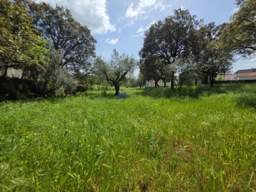 Terreno para Venda em Fatima