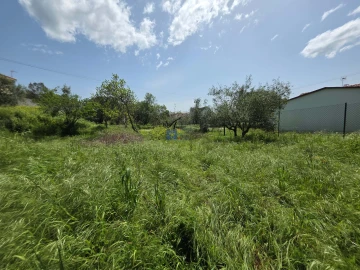 Terreno para Venda em Fatima