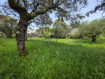 Terreno para Venda em Fatima