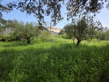 Terreno para Venda em Fatima