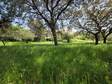Terreno para Venda em Fatima