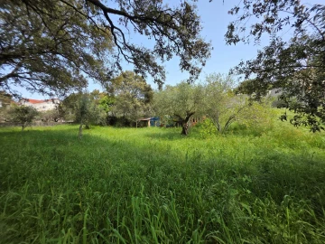 Terreno para Venda em Fatima