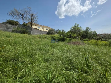 Terreno para Venda em Fatima