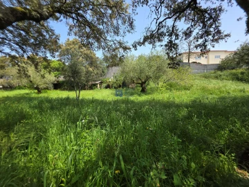 Terreno para Venda em Fatima