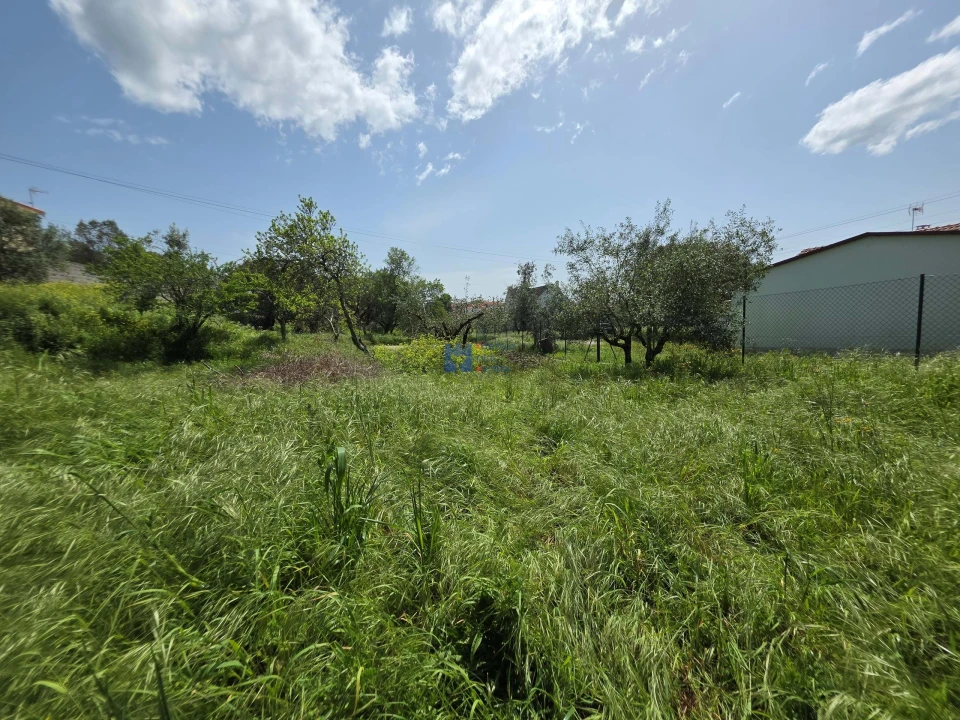 Terreno para Venda em Fatima Foto 4