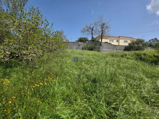 Terreno para Venda em Fatima Foto 3