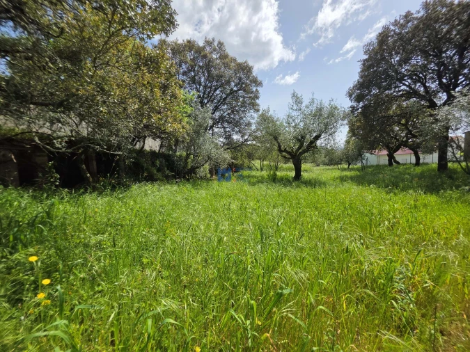 Terreno para Venda em Fatima Foto 5