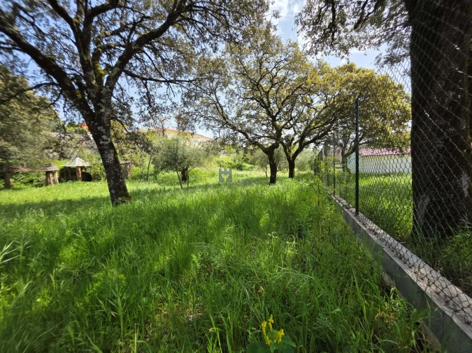 Terreno para Venda em Fatima Foto 9