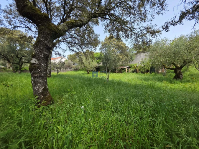 Terreno para Venda em Fatima Foto 12