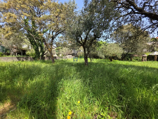 Terreno para Venda em Fatima Foto 7