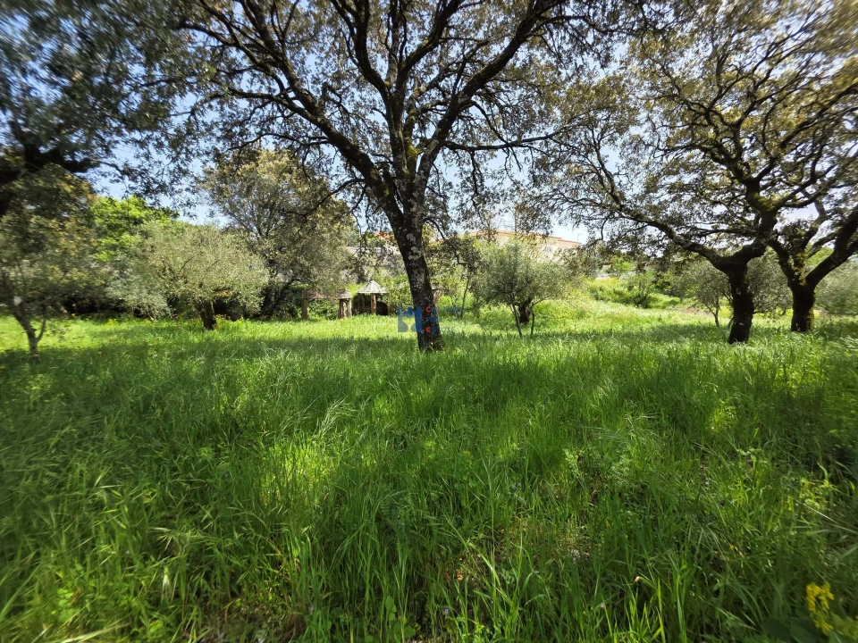 Terreno para Venda em Fatima Foto 8