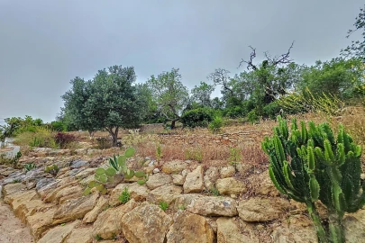 Moradia T3 para Venda em Boliqueime