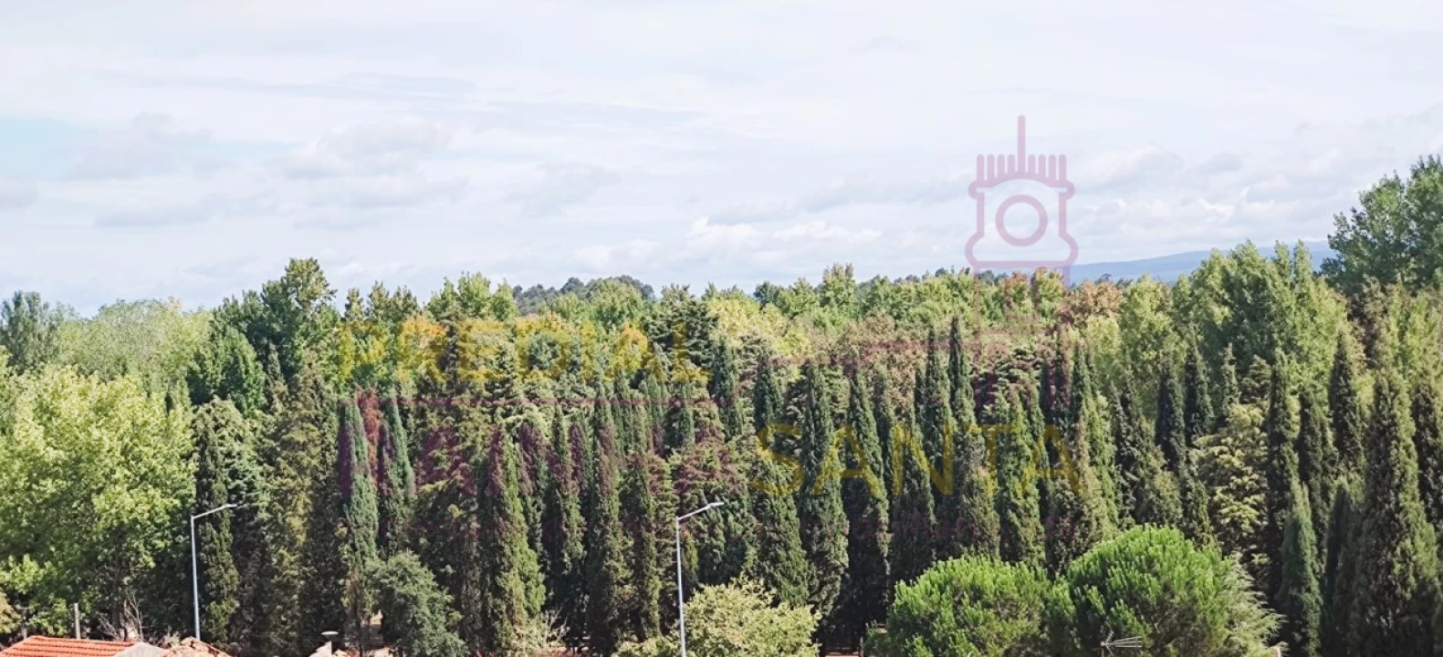 Apartamento T3 para Venda em Mealhada, Ventosa do Bairro e Antes Foto 11