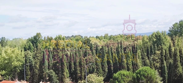 Apartamento T3 para Venda em Mealhada, Ventosa do Bairro e Antes