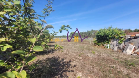 Terreno para Venda em Alhadas