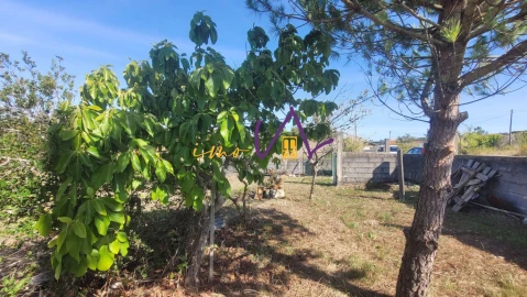 Terreno para Venda em Alhadas