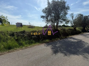 Terreno para Venda em Louriçal