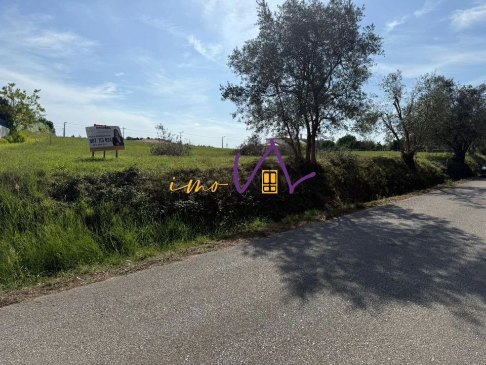Terreno para Venda em Louriçal Foto 9