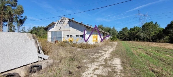 Loja para Venda em Alhadas