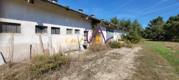 Loja para Venda em Alhadas
