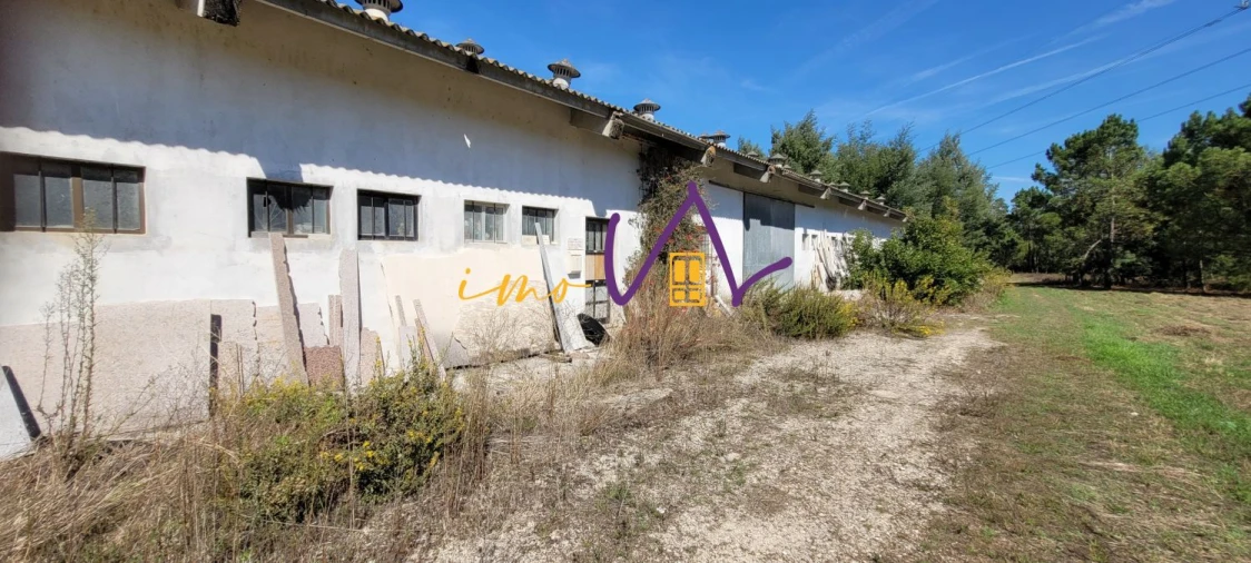 Loja para Venda em Alhadas Foto 7
