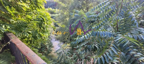 Loja para Venda em Aguda