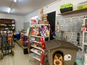 Loja para Trespasse em Souselas e Botão