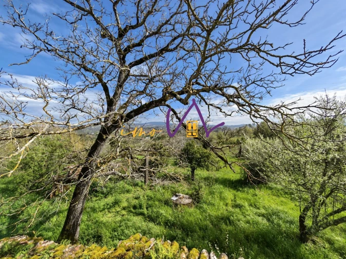 Moradia T3 para Venda em Santiago e São Simão de Litém e Albergaria dos Doze Foto 16