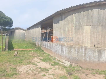 Quinta T3 para Venda em Ribeira de Fraguas