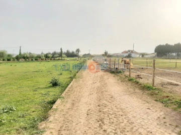 Quinta T3 para Venda em Ribeira de Fraguas