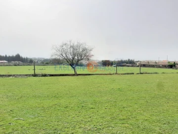 Quinta T3 para Venda em Ribeira de Fraguas