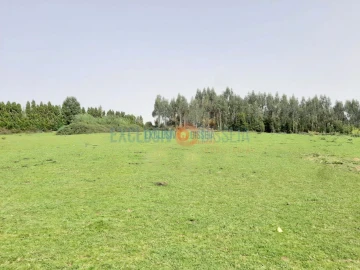 Quinta T3 para Venda em Ribeira de Fraguas