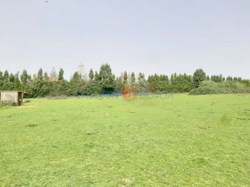 Quinta T3 para Venda em Ribeira de Fraguas