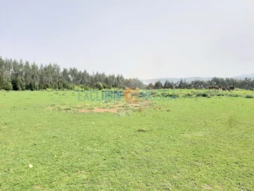 Quinta T3 para Venda em Ribeira de Fraguas