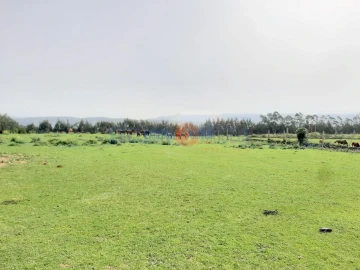 Quinta T3 para Venda em Ribeira de Fraguas