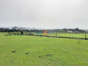 Quinta T3 para Venda em Ribeira de Fraguas