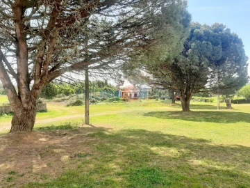 Quinta T3 para Venda em Ribeira de Fraguas