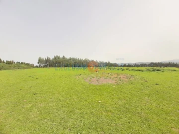 Quinta T3 para Venda em Ribeira de Fraguas