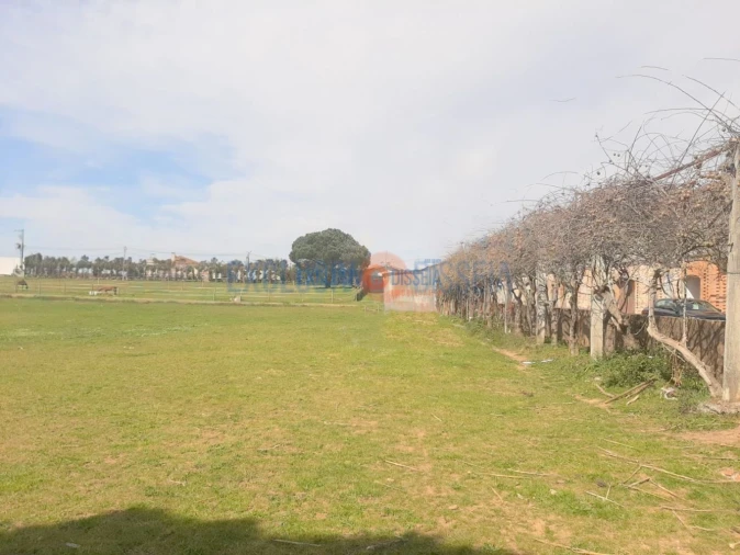 Quinta T3 para Venda em Ribeira de Fraguas Foto 28