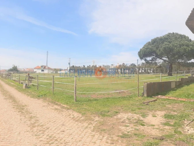 Quinta T3 para Venda em Ribeira de Fraguas Foto 13