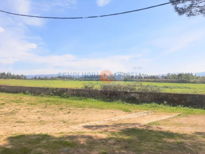 Quinta T3 para Venda em Ribeira de Fraguas Foto 5