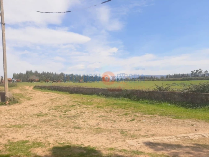 Quinta T3 para Venda em Ribeira de Fraguas Foto 6