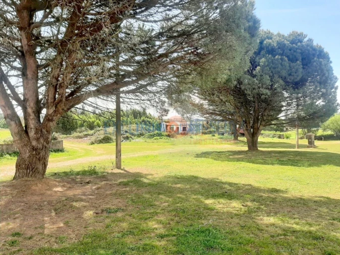 Quinta T3 para Venda em Ribeira de Fraguas Foto 7