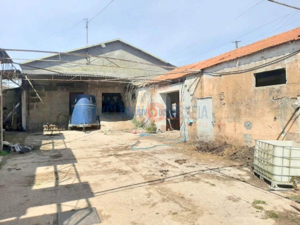 Quinta T3 para Venda em Ribeira de Fraguas Foto 14