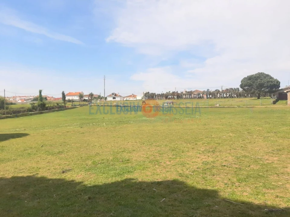 Quinta T3 para Venda em Ribeira de Fraguas Foto 27